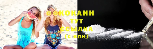 стафф Новокубанск