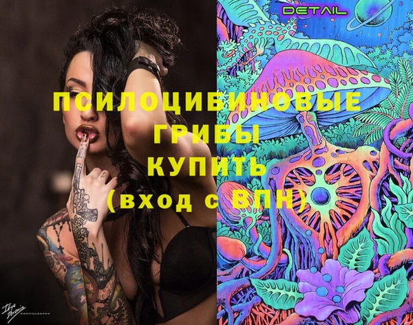 стафф Новокубанск