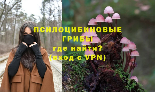 мяу мяу мука Новозыбков