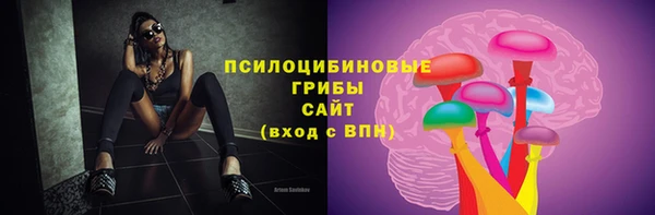 мяу мяу мука Новозыбков