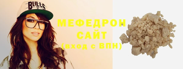 индика Дубна