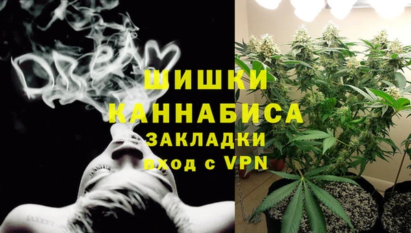 стафф Новокубанск