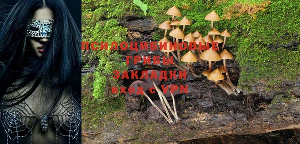 гидропоника Новодвинск