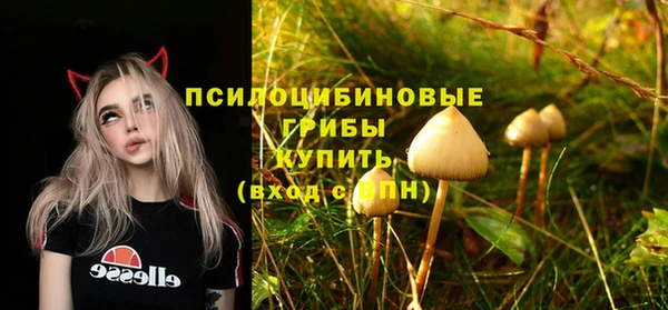 гидропоника Новодвинск