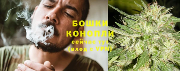 мяу мяу мука Новозыбков