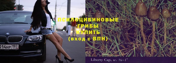 индика Дубна
