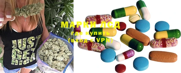 стафф Новокубанск